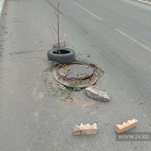 читателя 24-kg.com