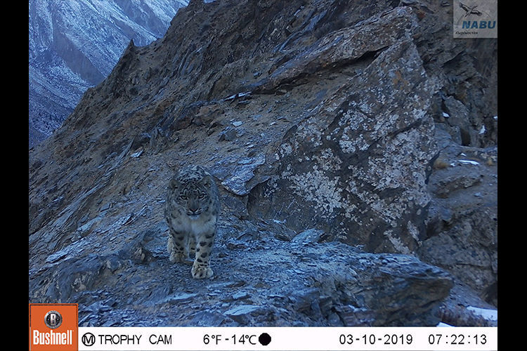 Союза охраны природы Германии (NABU) — Кыргызстан