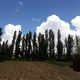 Фото Нурислана Кумушбекова. Село Кызыл-Октябрь, Бакай-Атинский район, июнь 2020 года