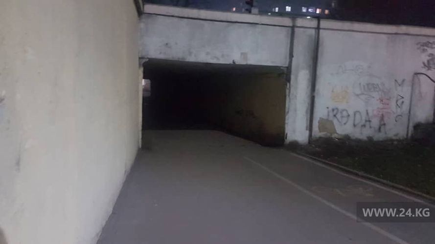 читателя 24-kg.com