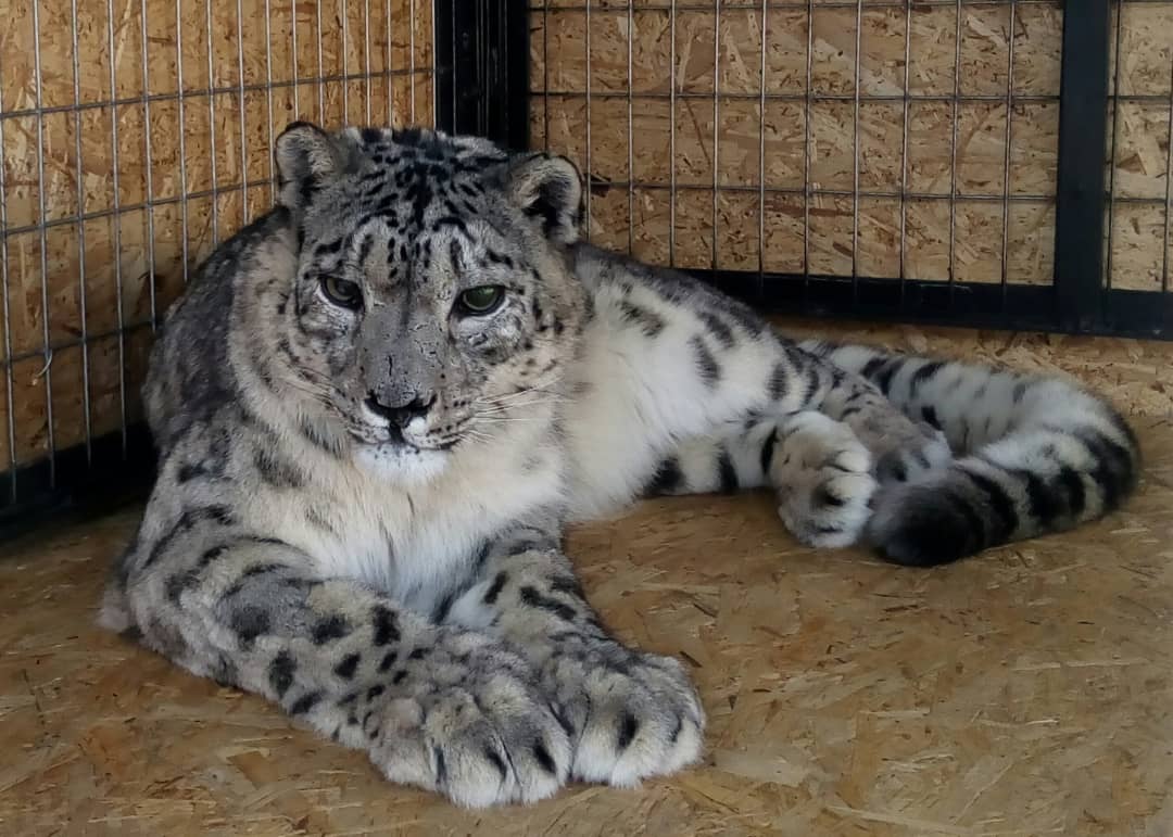 пресс-службы Гослесхоза