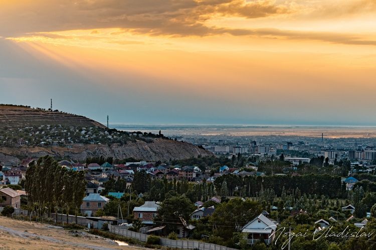 Владислава Ногая