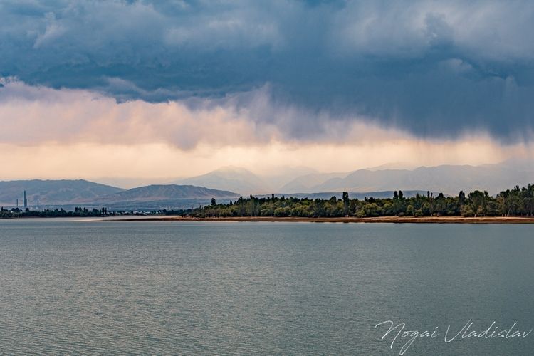 Владислава Ногая