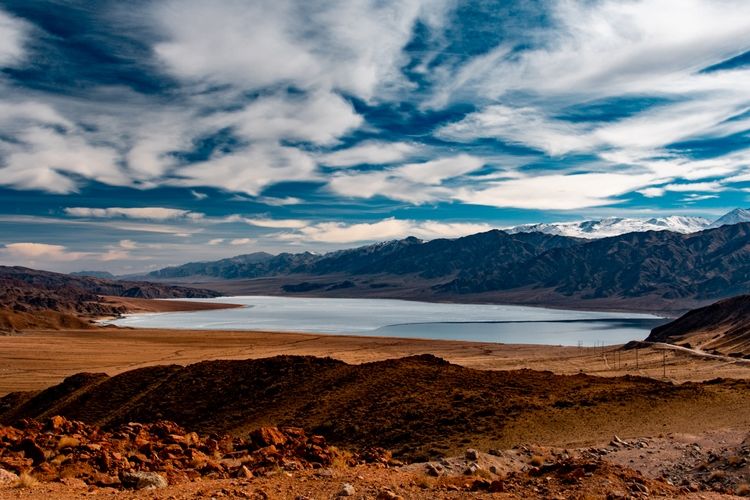 Владислава Ногая