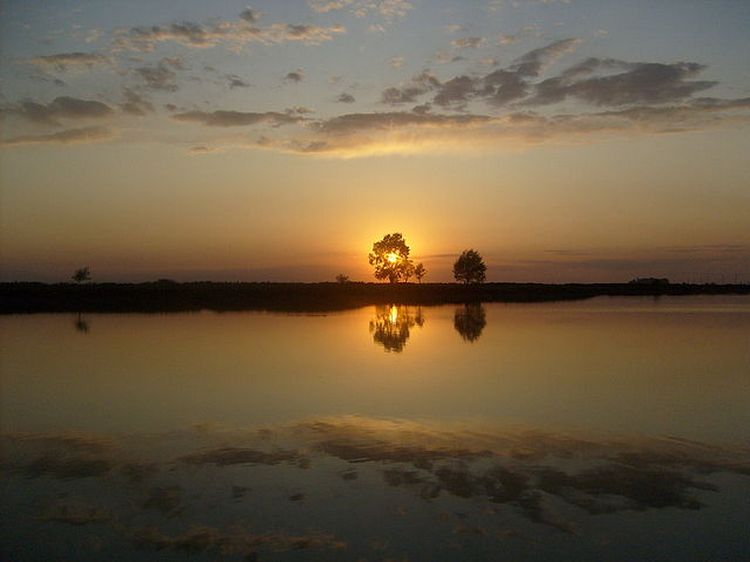 Николая Фаустова