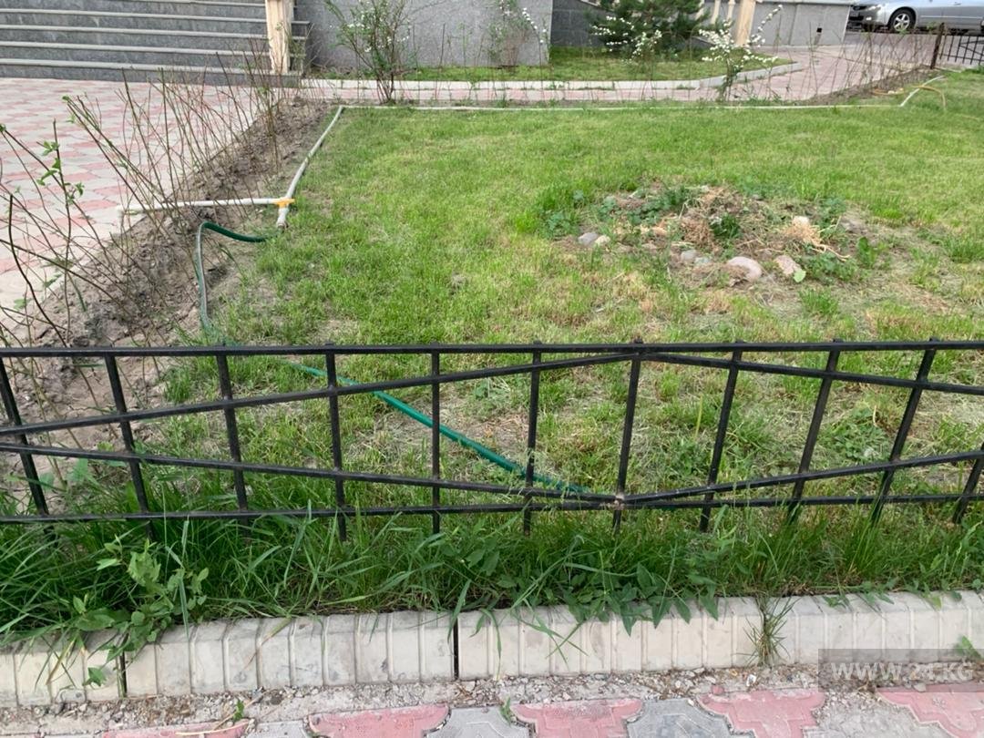 читателя 24-kg.com