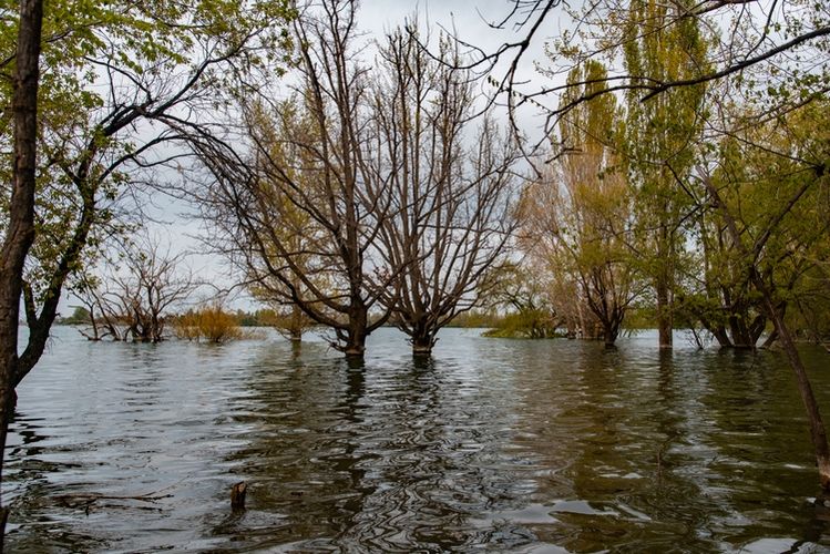 Владислава Ногая