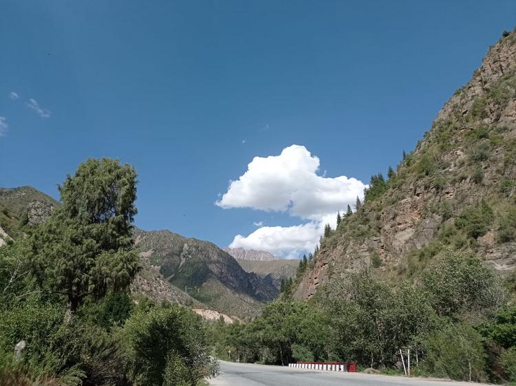 Мамасалы Ташматова