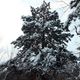 Фото Алмаза Карабалаева. Зима
