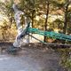Фото На аллеях не осталось ни одной целой скамьи