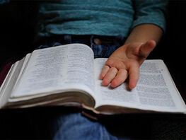 Переход на&nbsp;12-летку. Родители учащихся заявляют об&nbsp;отсутствии учебников 