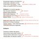 Фото из социальных сетей. В Кыргызстане разгорается скандал вокруг конкурса на новый гимн