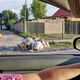 Фото читателя 24-kg.com