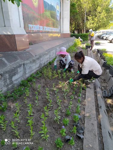 мэрии Бишкека