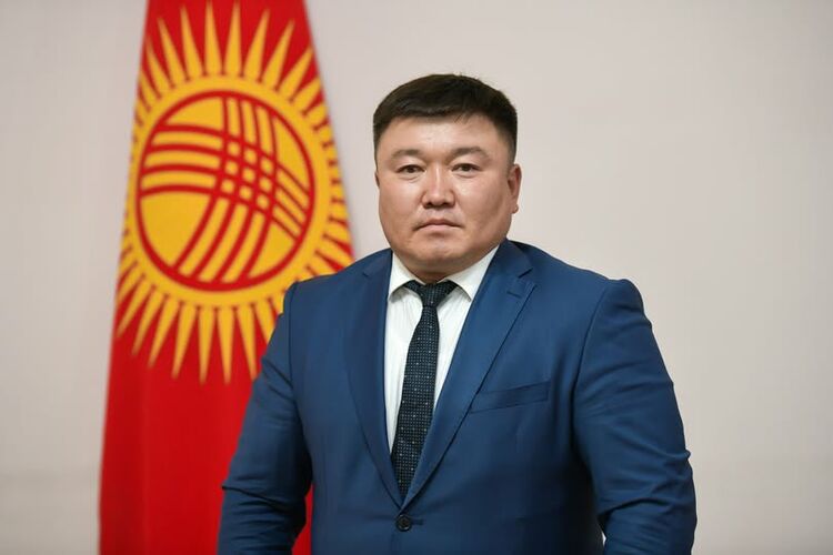 мэрии
