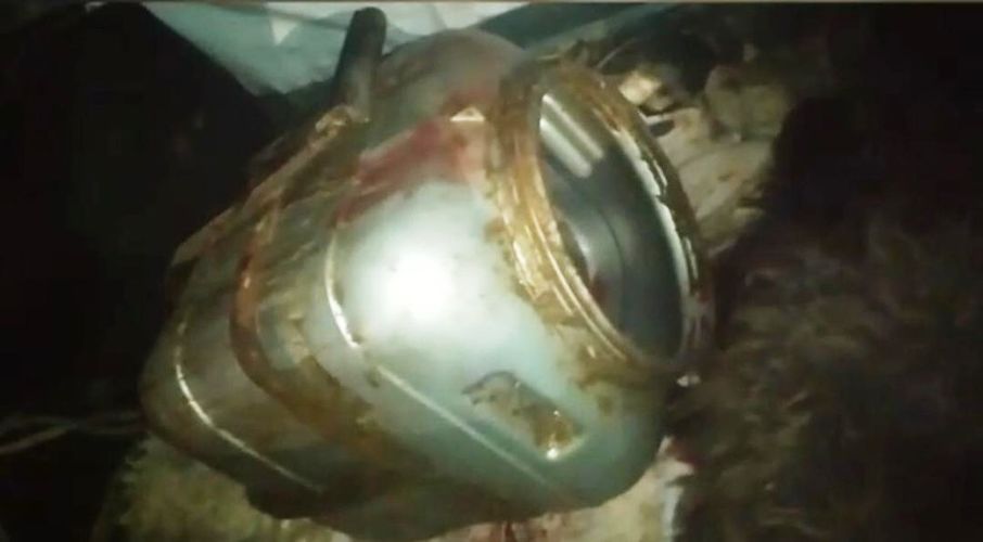 из интернета