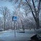 Фото Урмата Чырмашева. Февральское утро в Кара-Балте