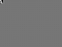 Айбийке Уланбек кызы завоевала золото на&nbsp;чемпионате Азии по&nbsp;парадзюдо 