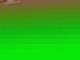 Shaiyrbek Tashiev denies criminal case and detention reports