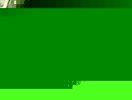 Рубль и&nbsp;евро снова подешевели, доллар стабилен. Курс валют на&nbsp;31&nbsp;октября 