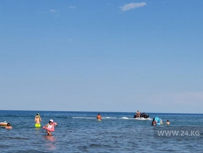 читателя 24-kg.com