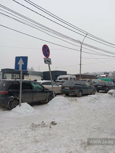 читателей 24-kg.com