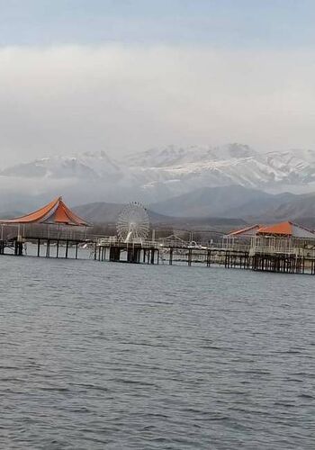 Айнуры Шербековой