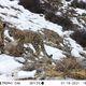 Фото Союза охраны природы Германии (NABU) в Кыргызстане. Природный заповедник «Сурмо-Таш»