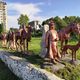 Фото пресс-службы мэрии Оша. Инсталляция «Караван Великого шелкового пути»
