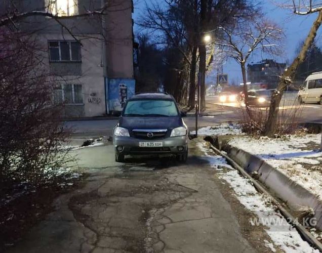 читателя 24-kg.com