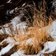 Фото Владислава Ногая. Зимняя Ала-Арча