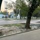 Фото читателя 24-kg.com