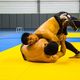 Фото Из архива Бексултана Омурзакова. На чемпионате Кыргызстана-2017 по грэпплингу и панкратиону