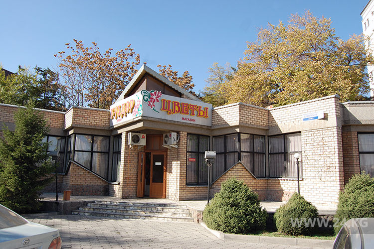 24-kg.com