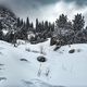 Фото Виктора Клейменова. Зимняя Ала-Арча