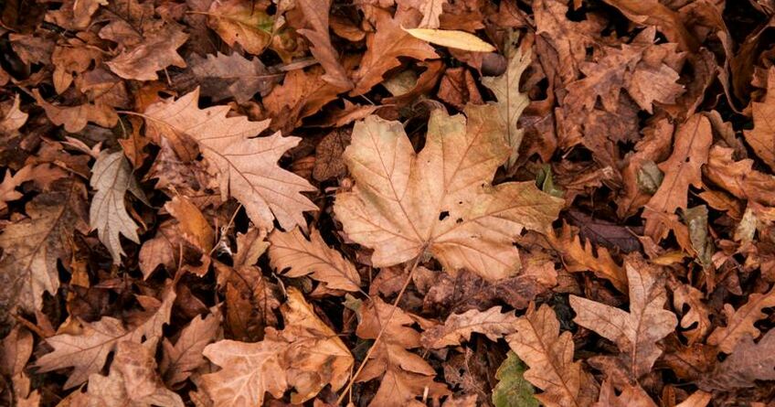 Что ждет бишкекчан на&nbsp;выходных. Прогноз погоды на&nbsp;20-23 ноября 