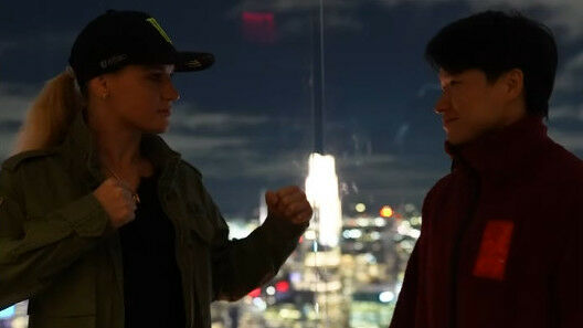 из интернета