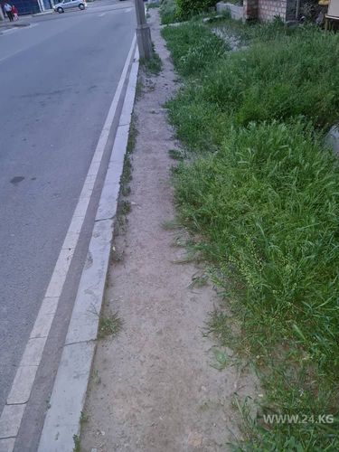 читателя 24-kg.com