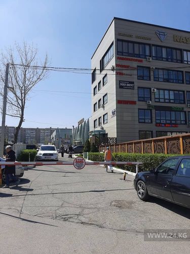 читателя 24-kg.com