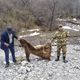 Фото Турата Сатимбаева . Убитый краснокнижный медведь