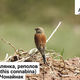 Фото NABU-Кыргызстан