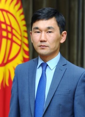 аппарата правительства КР