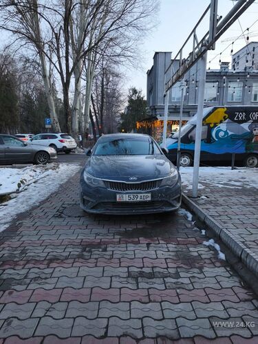 читателей 24-kg.com