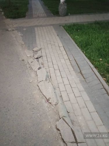 читателя 24-kg.com