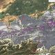 Фото из kyrgyzmap