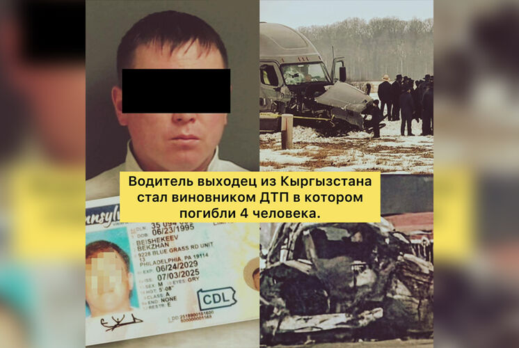 из интернета