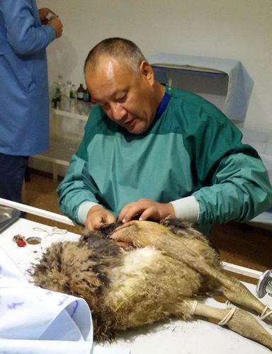 из архива Полада Сулейменова