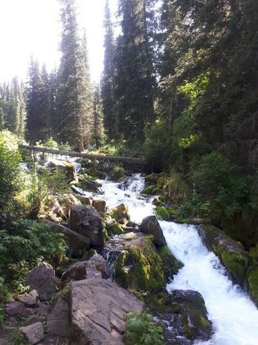 Мирбека Муратова