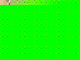 Нелли Буюклянова возглавила Федерацию тенниса Кыргызстана 