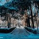 Фото Владислава Ногая. Первый день зимы в Бишкеке